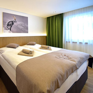 Appartement Steinbock